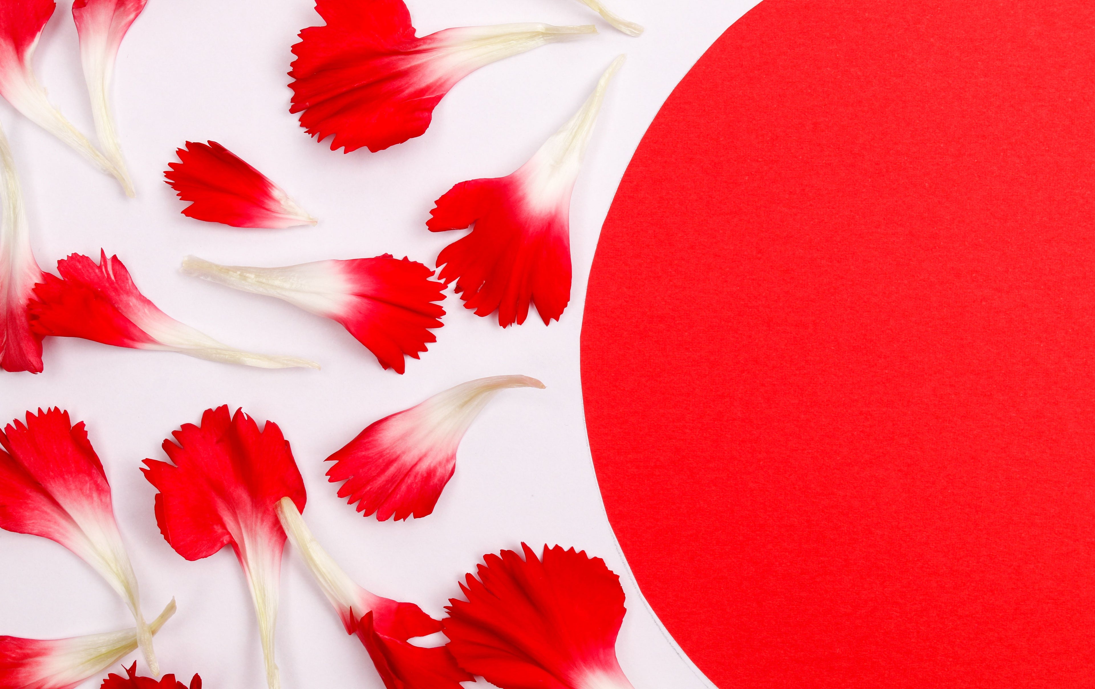 Implantation bleeding vs period: How to tell the difference.