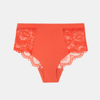 Understatement Lace Period Highwaist Briefs