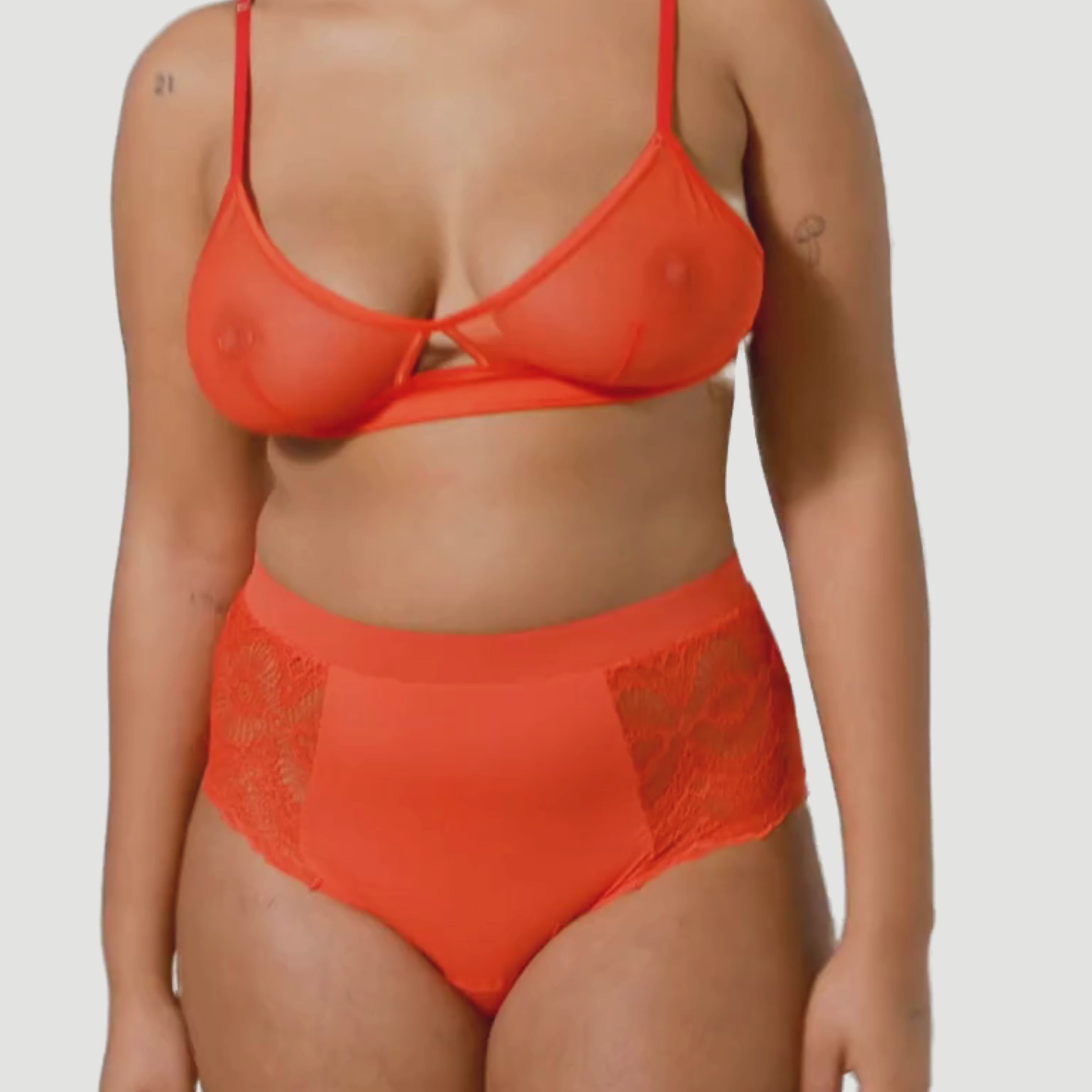Understatement Lace Period Highwaist Briefs