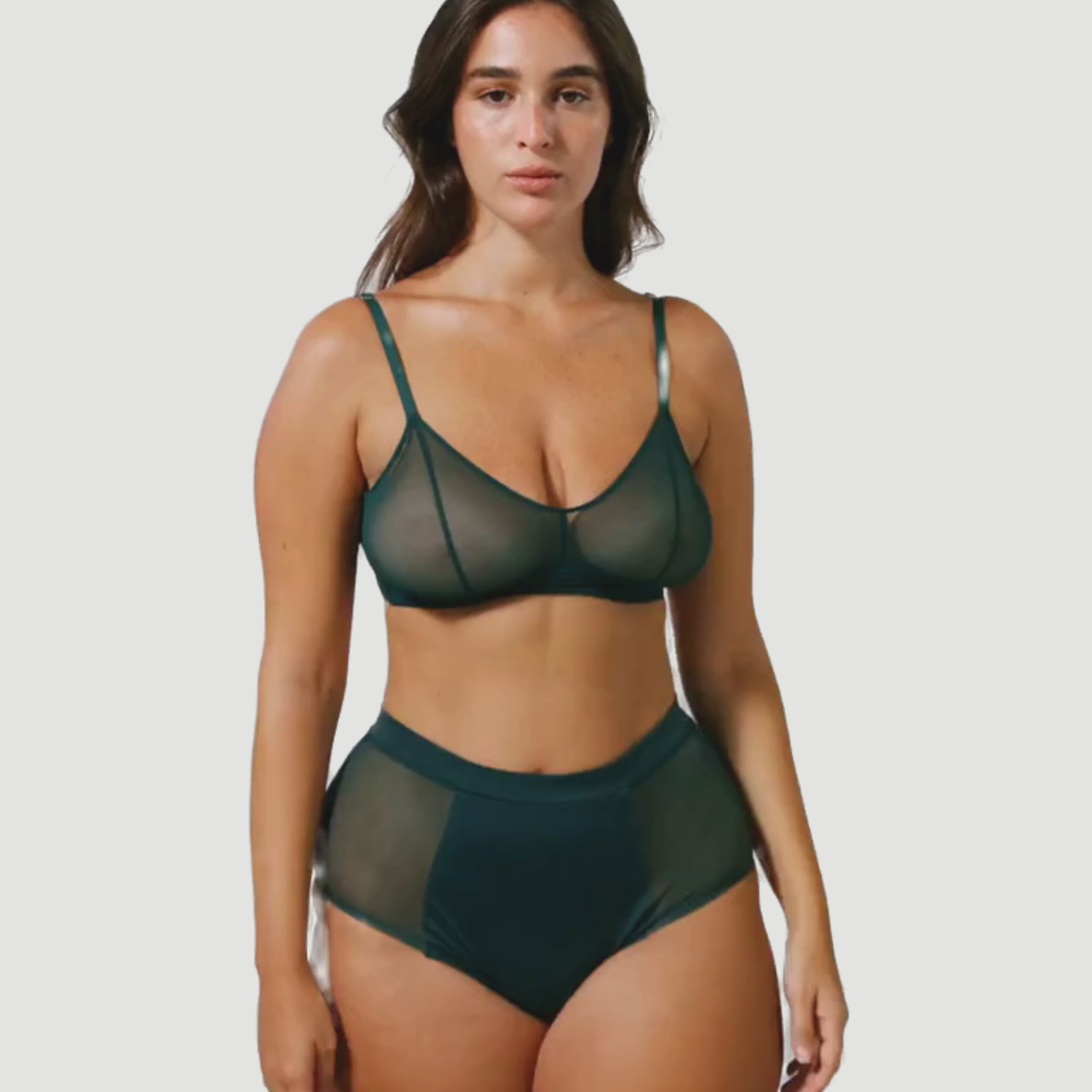Understatement Micro period highwaist briefs